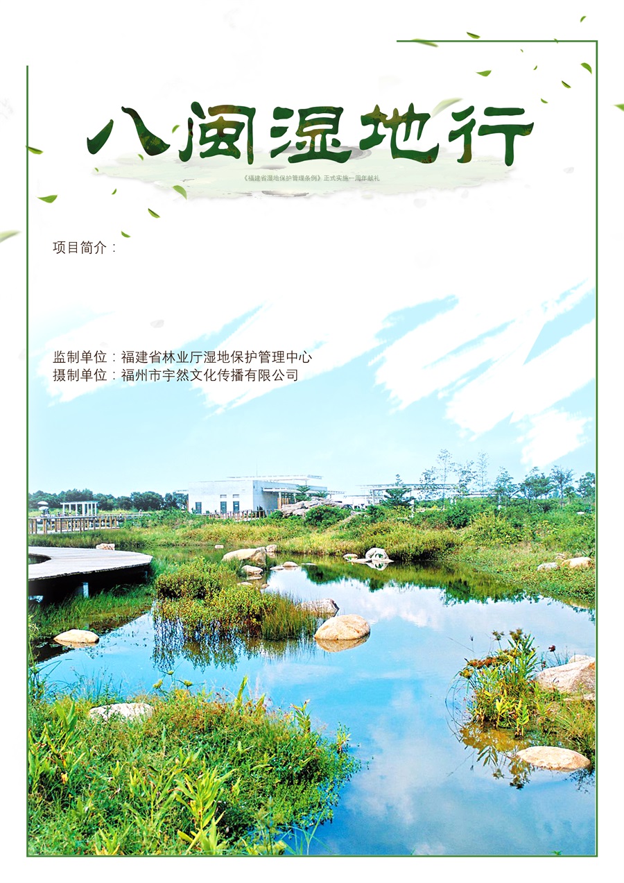 作品展示